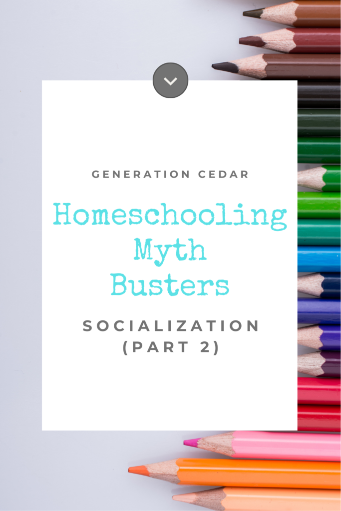 Homeschooling Myth Busters–Socialization–Part 2 – Generation Cedar