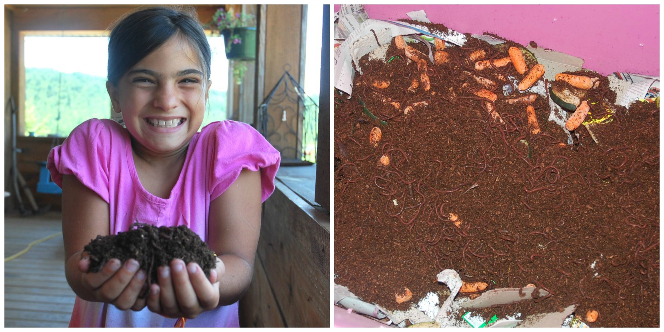worm collage