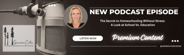 Brown Microphone Simple Photography Podcast Show LinkedIn Banner